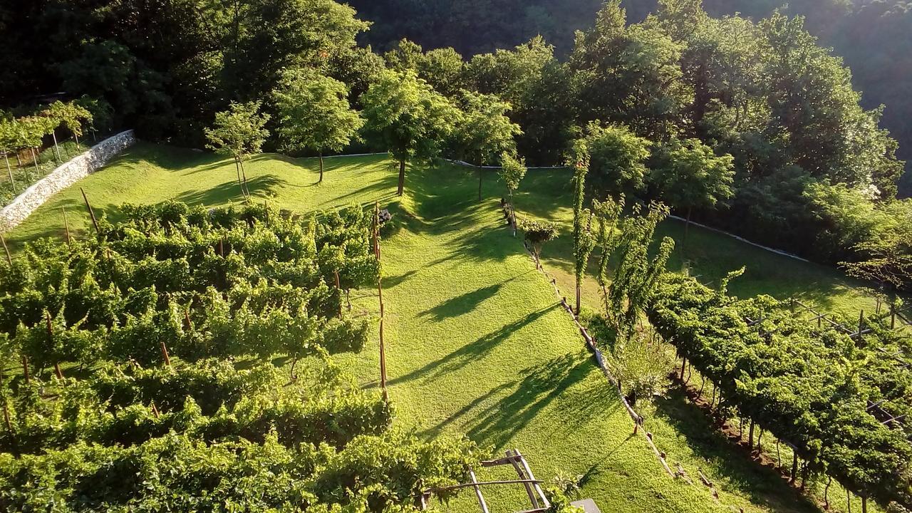 Camping Colle Vento Hotel Domaso Kültér fotó