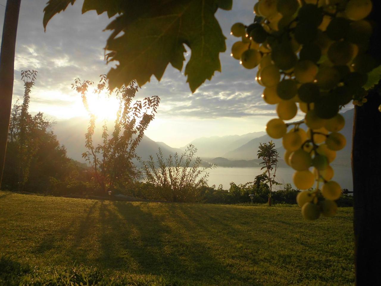 Camping Colle Vento Hotel Domaso Kültér fotó